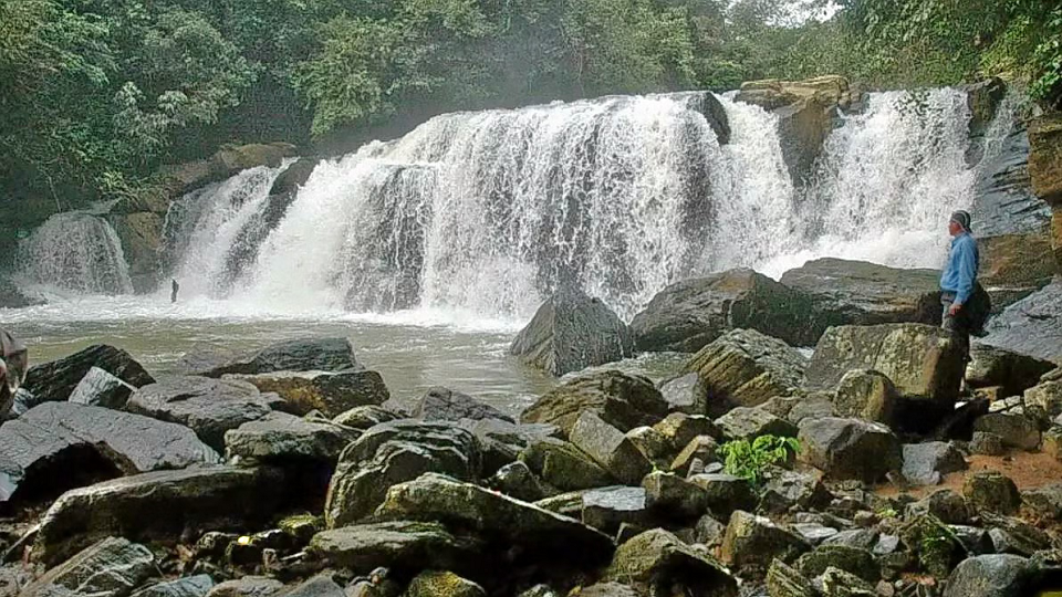 Gari Homestay Sakleshpur,Best Homestay in Sakleshpur,Best Budget,Friendly Homestay in Sakleshpur,Best Family Homestay in Sakleshpur,Best Nature Stay in Sakleshpur,Best Valley View Homestay in Sakleshpur,Best Homestay in Kyanahalli,Best Budget,Friendly Homestay in Kyanahalli,Best Family Homestay in Kyanahalli,Best Nature Stay in Kyanahalli,Best Valley View Homestay in Kyanahalli,top 10 homestay in kyanahalli,Gari home stay kyanahalli Sakleshpur.
